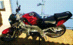 Avatar du membre