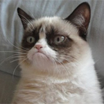 Avatar du membre