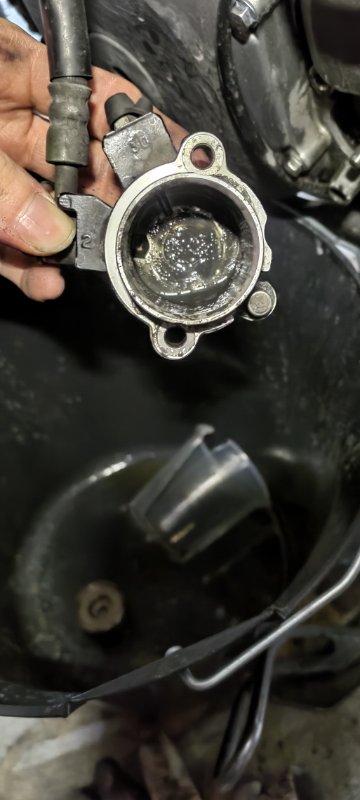 interieur recpteur.jpg