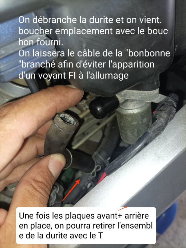bombonne.jpg