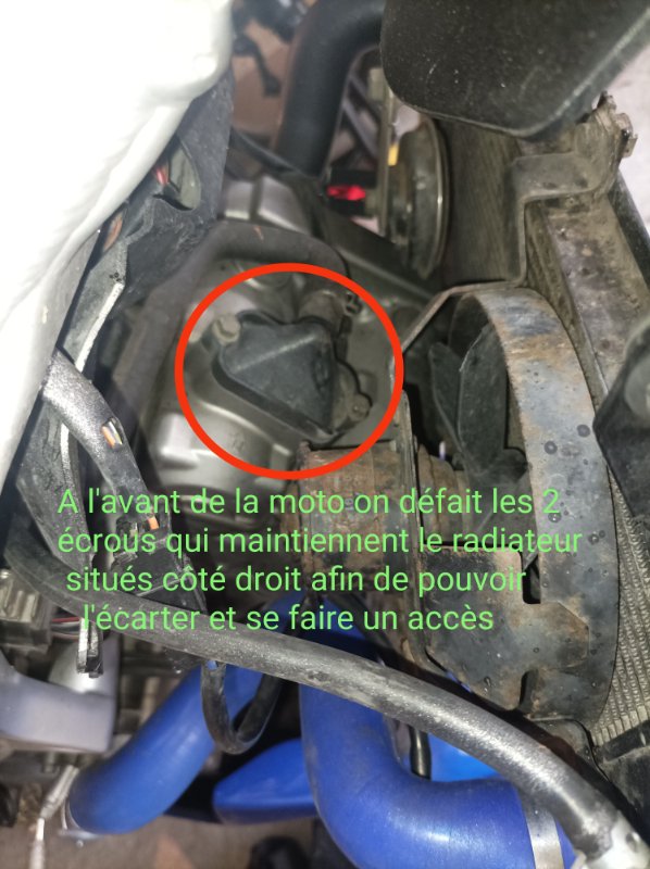 mise en place avant.jpg
